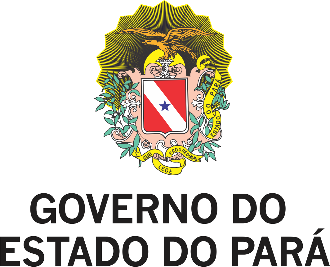 Governo do Pará
